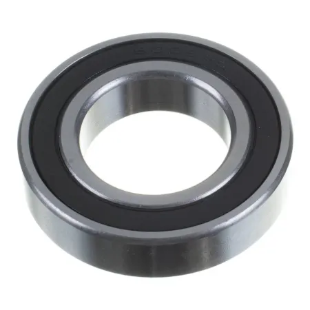 RULEMAN 6006 2RS